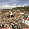 12_20-nest.jpg