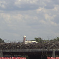 12_45-mast.jpg
