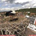 13_20-nest.jpg