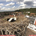 13_35-nest.jpg
