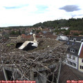 13_40-nest.jpg
