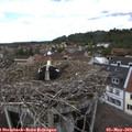 13_55-nest.jpg