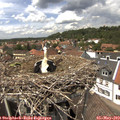 14_05-nest.jpg