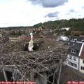14_10-nest.jpg