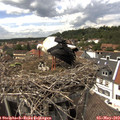 14_30-nest.jpg