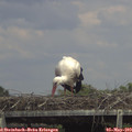 14_35-mast.jpg
