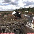 14_35-nest.jpg
