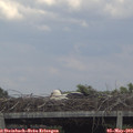 15_00-mast.jpg