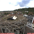 15_00-nest.jpg