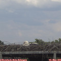 15_05-mast.jpg