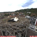 15_05-nest.jpg