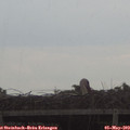 16_45-mast.jpg