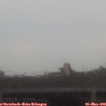 16_50-mast.jpg