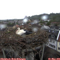 18_20-nest.jpg