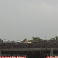 18_40-mast.jpg