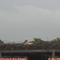 18_45-mast.jpg