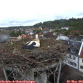19_40-nest.jpg