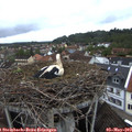 20_00-nest.jpg