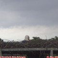 20_25-mast.jpg