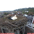 20_30-nest.jpg