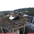 06_00-nest.jpg