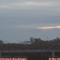 06_05-mast.jpg