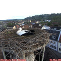 06_10-nest.jpg