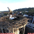 06_30-nest.jpg