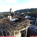 06_40-nest.jpg