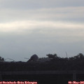 06_55-mast.jpg