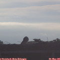 07_00-mast.jpg
