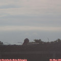 07_05-mast.jpg