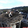 07_05-nest.jpg