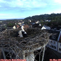 07_10-nest.jpg