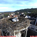 07_30-nest.jpg