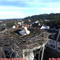 07_35-nest.jpg