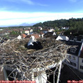 08_20-nest.jpg