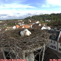 08_55-nest.jpg
