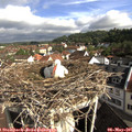 09_05-nest.jpg