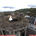 09_25-nest.jpg