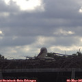 09_35-mast.jpg