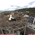 09_45-nest.jpg