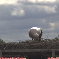 10_05-mast.jpg