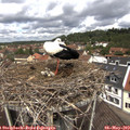 12_05-nest.jpg