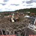 12_30-nest.jpg
