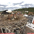 13_05-nest.jpg