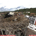 14_45-nest.jpg
