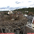 14_55-nest.jpg
