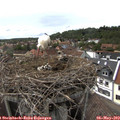 15_45-nest.jpg