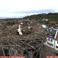 16_00-nest.jpg